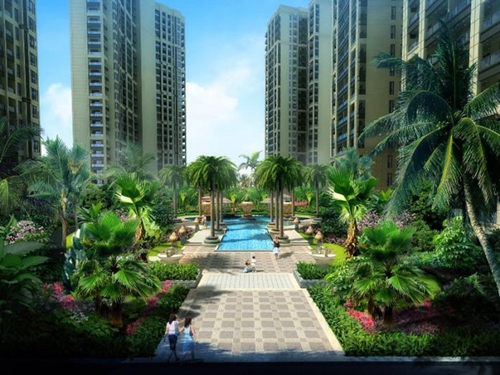 濱?！ば腋＠锞G化率很高