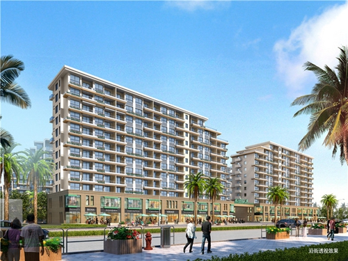 金龍大觀VS巨制國際分析對比